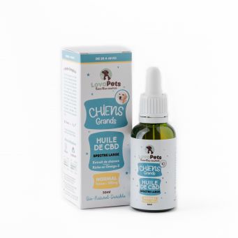 CBD Oil for Pets