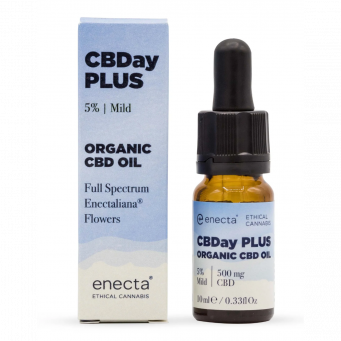 CBD Oil