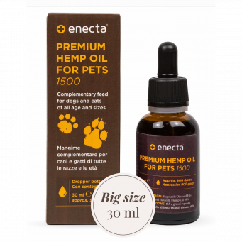CBD Oil for Pets