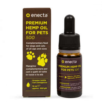 CBD Oil for Pets