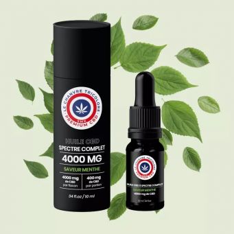 CBD Oil