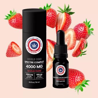 CBD Oil