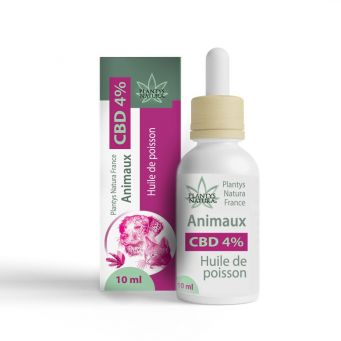 CBD Oil for Pets